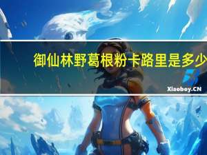 御仙林 野葛根粉卡路里是多少