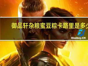 御品轩 杂粮蜜豆粽卡路里是多少