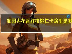 御园枣花香鲜核桃仁卡路里是多少