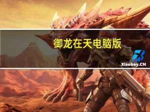 御龙在天电脑版（御龙在天安装不了）