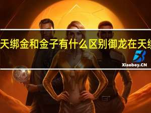 御龙在天绑金和金子有什么区别 御龙在天绑金怎么获得