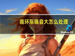 循环泵噪音大怎么处理