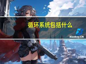 循环系统包括什么