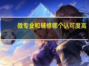 微专业和辅修哪个认可度高