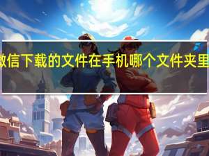 微信下载的文件在手机哪个文件夹里面电脑（微信下载的文件在手机哪个文件夹）