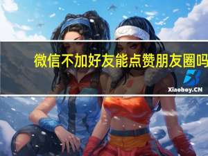 微信不加好友能点赞朋友圈吗（微信不加好友能转账吗）