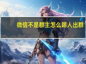 微信不是群主怎么踢人出群