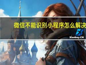 微信不能识别小程序怎么解决（微信识别不了小程序怎么回事）