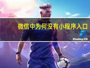 微信中为何没有小程序入口