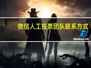 微信人工投票团队联系方式（微信人工投票）