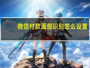 微信付款面部识别怎么设置