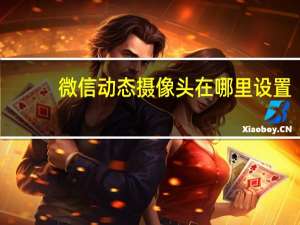 微信动态摄像头在哪里设置