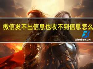 微信发不出信息也收不到信息怎么回事（微信发不出信息）