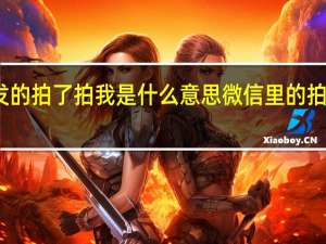 微信发的拍了拍我是什么意思 微信里的拍了拍怎么弄