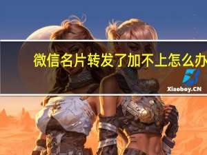 微信名片转发了加不上怎么办（微信名片转发了加不上怎么办）