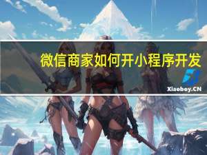 微信商家如何开小程序开发