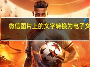 微信图片上的文字转换为电子文档（微信图片上的文字转换成文本）