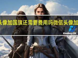 微信头像加国旗还需要费用吗 微信头像加国旗怎么弄