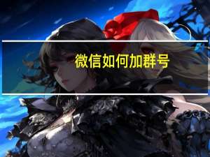 微信如何加群号（微信群号在哪里）