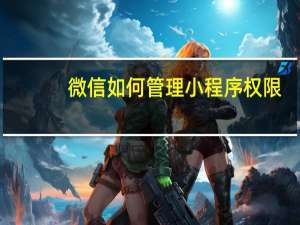 微信如何管理小程序权限