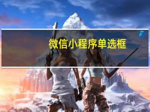 微信小程序单选框