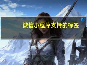 微信小程序支持的标签