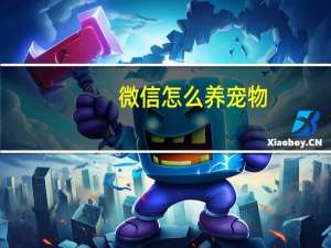 微信怎么养宠物