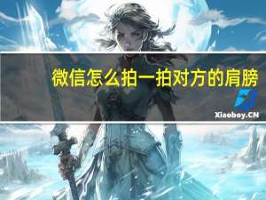 微信怎么拍一拍对方的肩膀（微信怎么拍一拍对方）