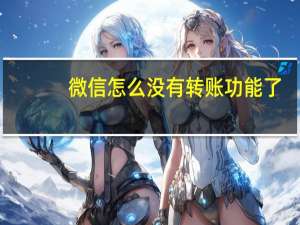 微信怎么没有转账功能了