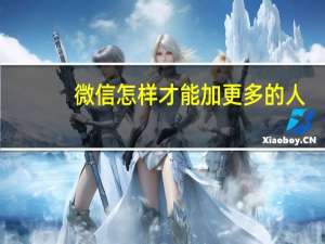 微信怎样才能加更多的人（微信怎么才能加更多的人）