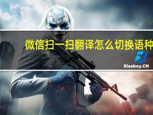 微信扫一扫翻译怎么切换语种