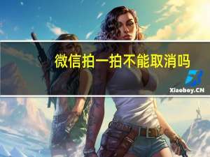 微信拍一拍不能取消吗（微信拍一拍不显示）