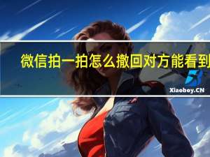 微信拍一拍怎么撤回对方能看到吗（微信拍一拍怎么撤回）