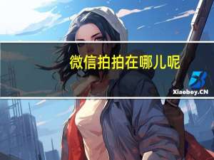微信拍拍在哪儿呢（微信中的拍拍在哪里）