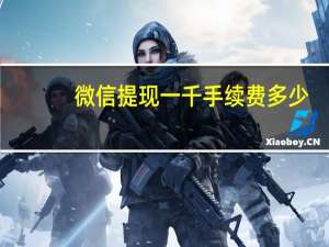 微信提现一千手续费多少