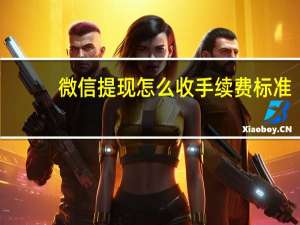 微信提现怎么收手续费标准（微信体现怎么收手续费）