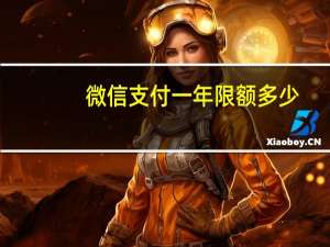 微信支付一年限额多少