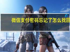 微信支付密码忘记了怎么找回（微信支付密码忘记了怎么找回）
