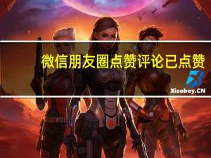 微信朋友圈点赞评论已点赞 - ks低价双击免费