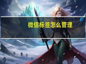 微信标签怎么管理