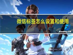 微信标签怎么设置和使用（微信标签怎么设置）