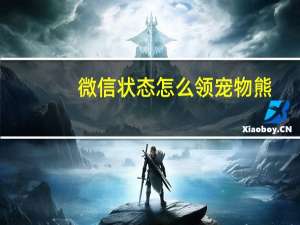 微信状态怎么领宠物熊