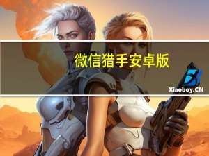 微信猎手安卓版（微信猎手官网）