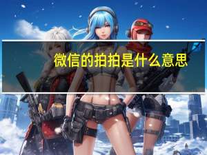 微信的拍拍是什么意思