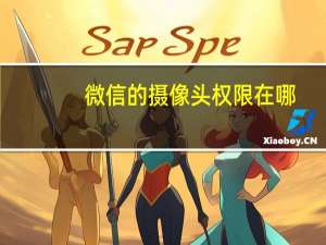 微信的摄像头权限在哪