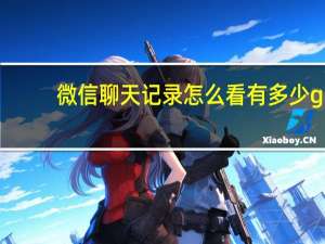 微信聊天记录怎么看有多少g（微信聊天记录怎么看）