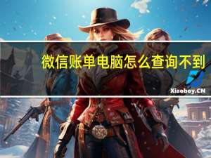 微信账单电脑怎么查询不到（微信账单电脑怎么查询）