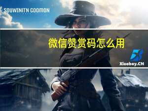 微信赞赏码怎么用