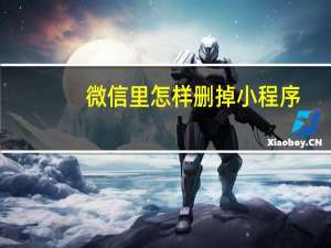微信里怎样删掉小程序