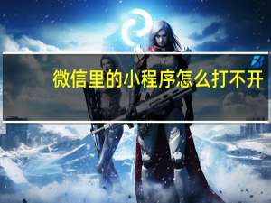 微信里的小程序怎么打不开